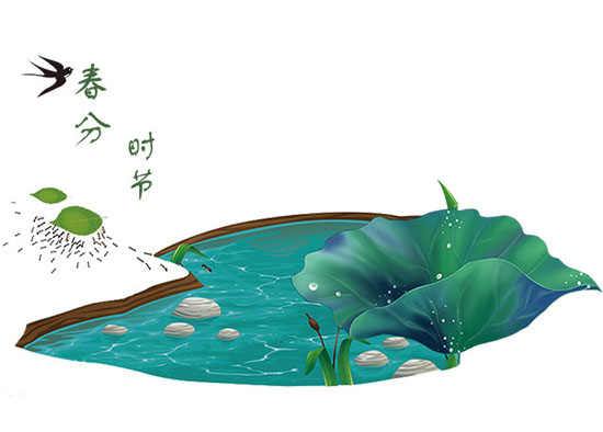 春分.jpg 春分.jpg